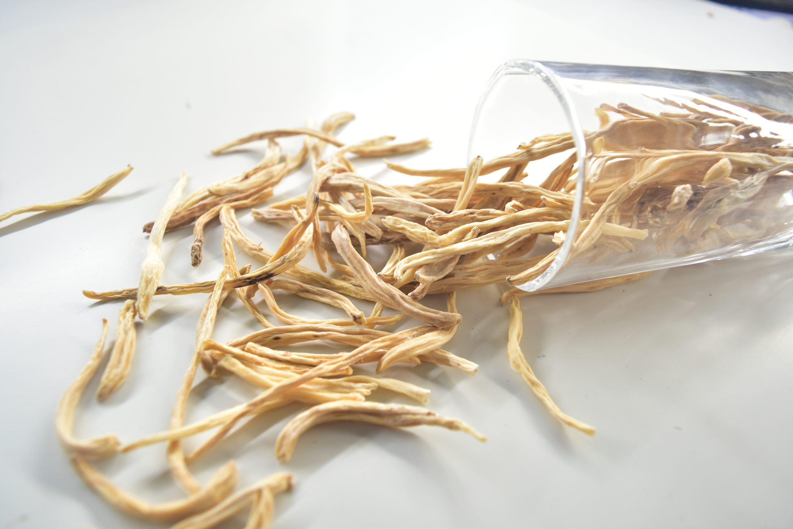Shatavari bulk exporter India