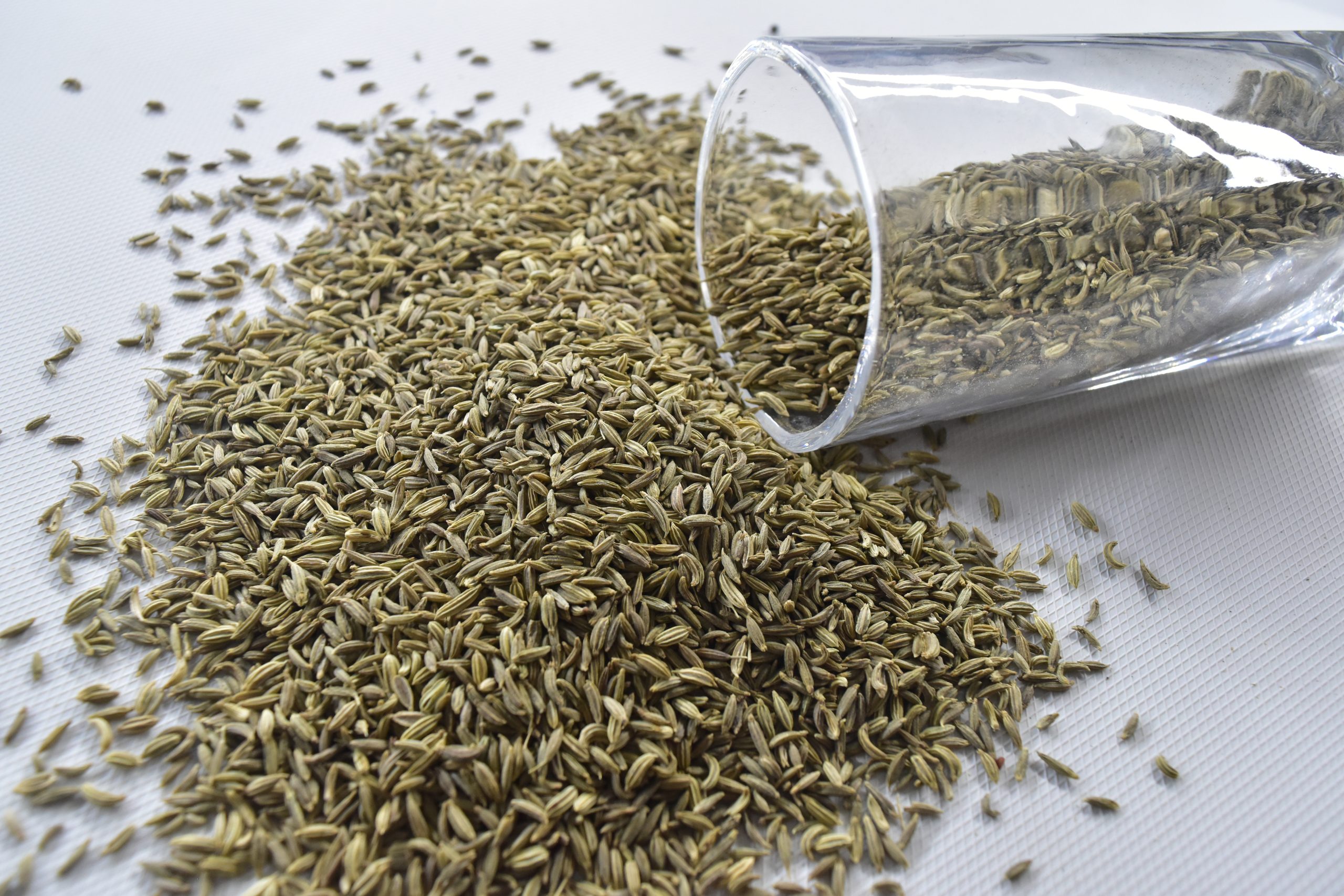 Fennel Oleoresin bulk exporter India