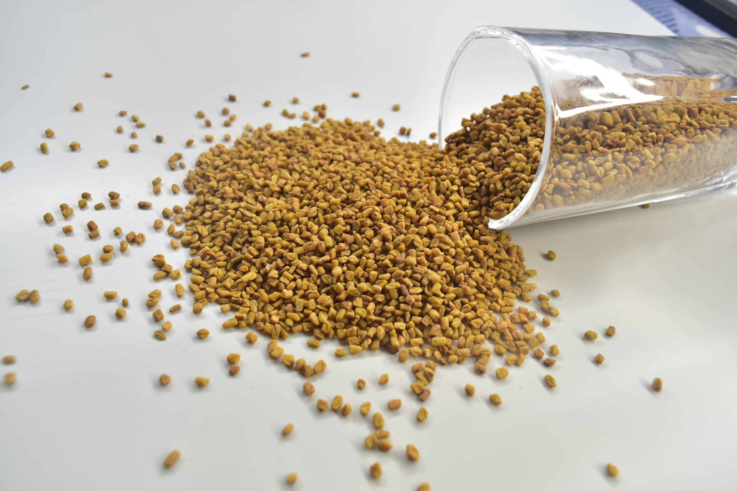 Fenugreek export grade from India