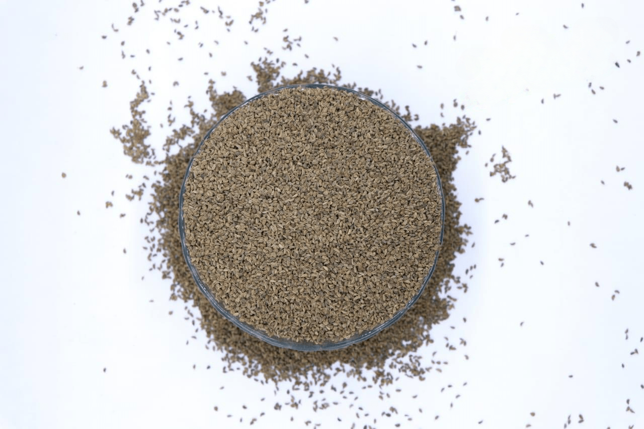 Ajwain bulk exporter India