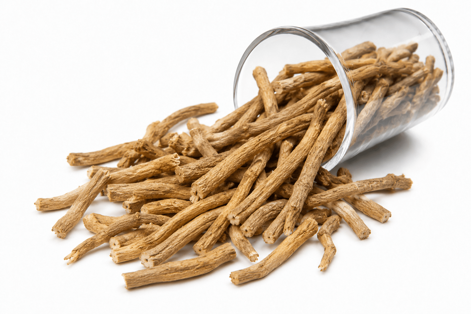 Ashwagandha Extract bulk exporter India