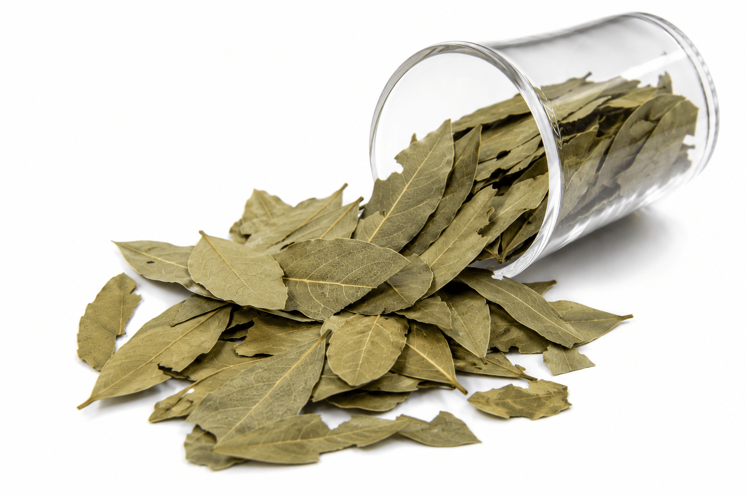 Bay Leaf bulk exporter India