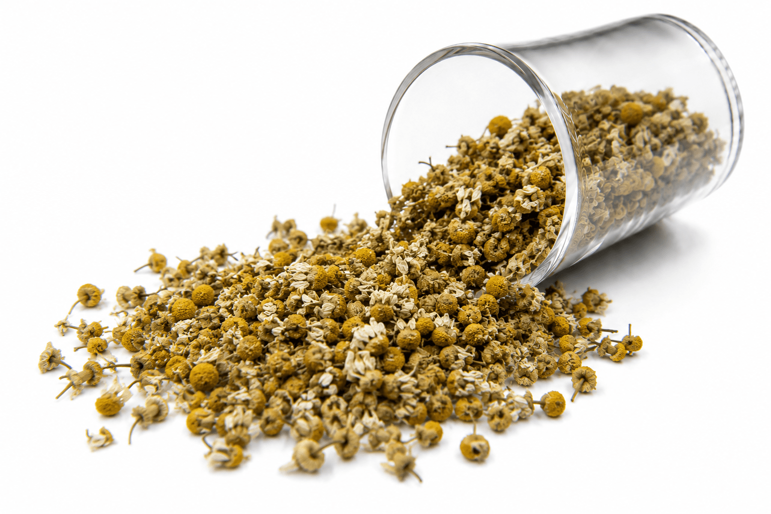 Chamomile bulk exporter India