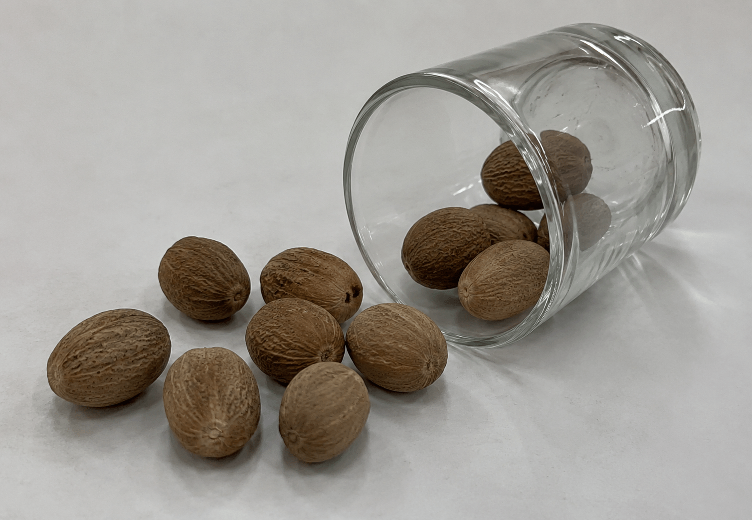 Nutmeg Mace bulk exporter India