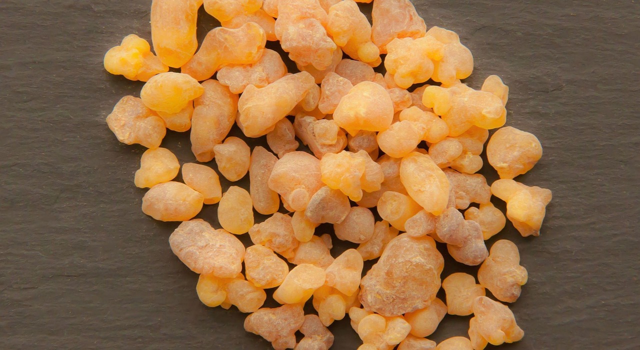 Boswellia Extract bulk exporter India