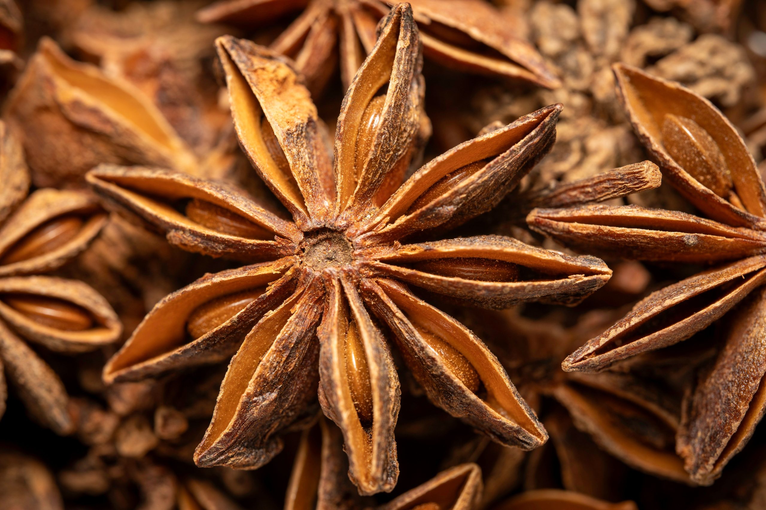 Star Anise bulk exporter India