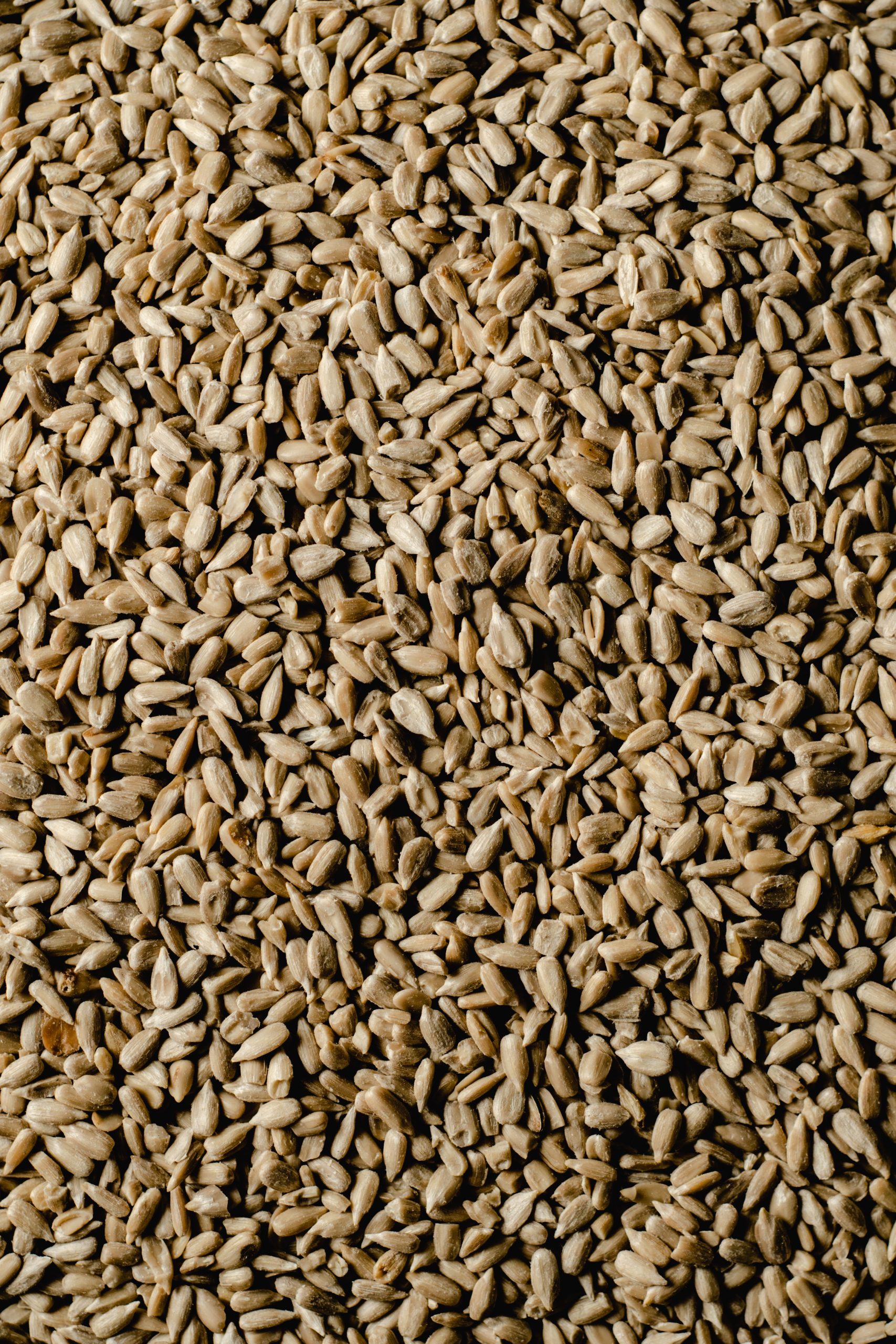 Safflower Seeds bulk exporter India