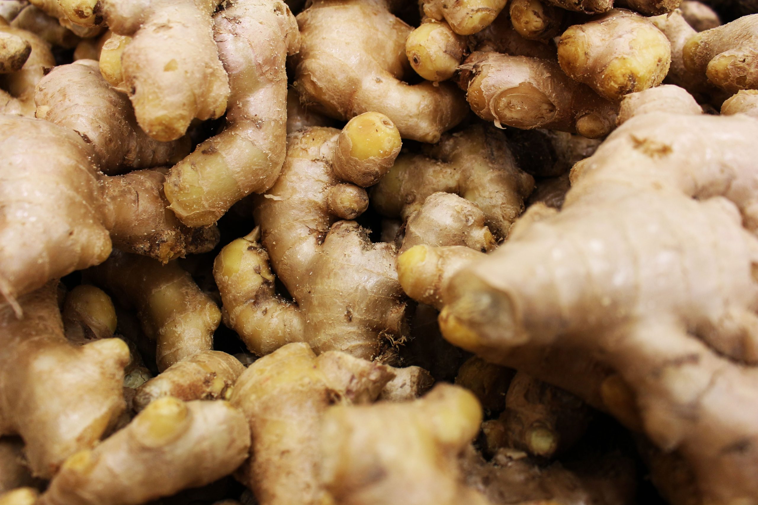 Ginger Oleoresin bulk exporter India