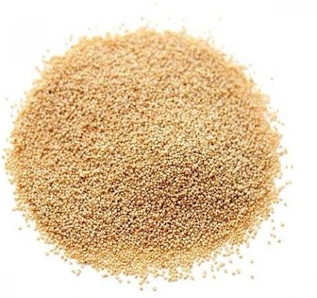Poppy Seeds bulk exporter India