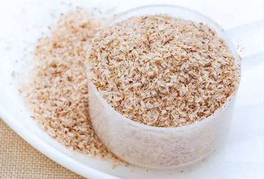 Psyllium Husk bulk exporter India